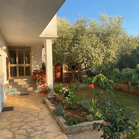 Apartment Nina زادار المظهر الخارجي الصورة