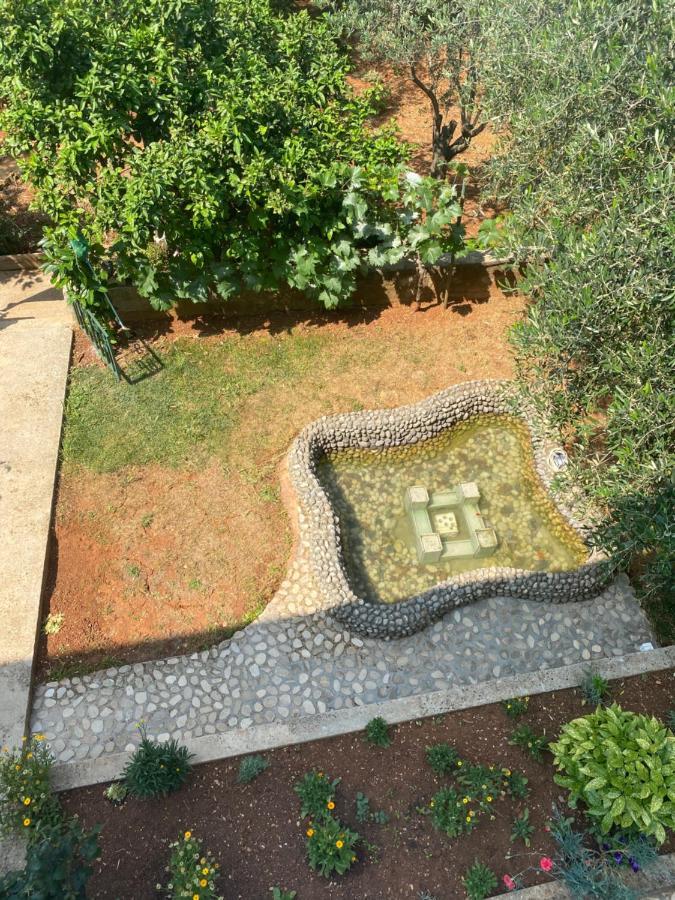 Apartment Nina زادار المظهر الخارجي الصورة